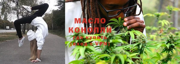 крисы Алзамай