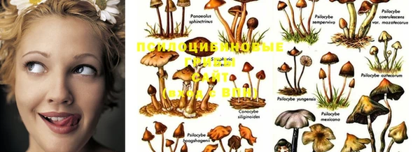 марки lsd Алексеевка