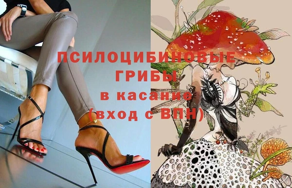 крисы Алзамай