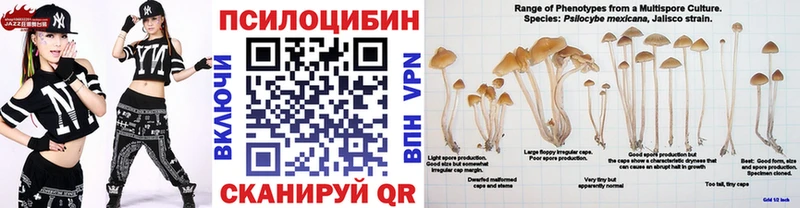 Галлюциногенные грибы мухоморы дарнет шоп Омутнинск